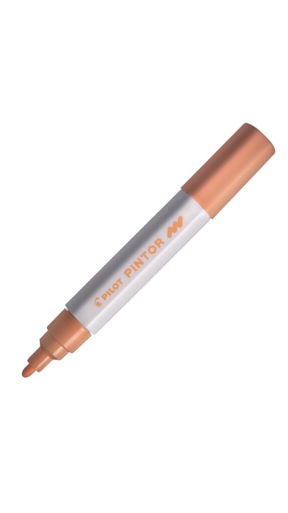 MARCADOR PILOT PINTOR M - CORES