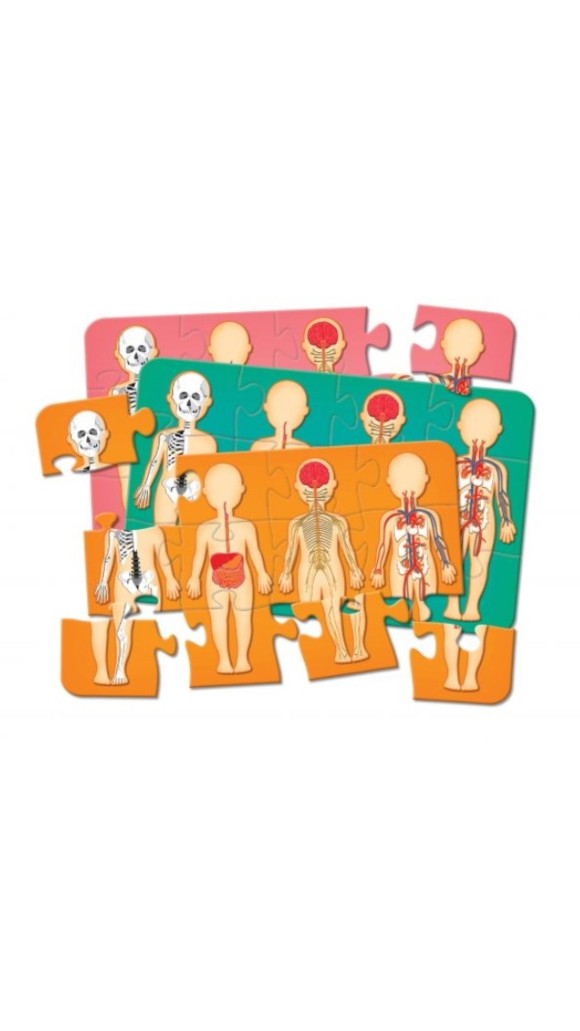 https://www.papelarteonline.com/image/cache/data/eftr/Img_ftr_rp_5518303-580x1031.JPG
