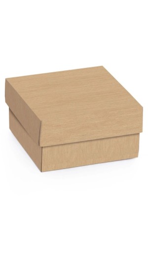 CAIXA P/PRESENTE QUADRADA MINI CAIXA 12X4X12CM CROMUS PACOTE COM 10 UNIDADES