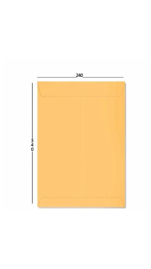 ENVELOPE SACO 240X340 OURO FORONI PACOTE C/10 UNID.