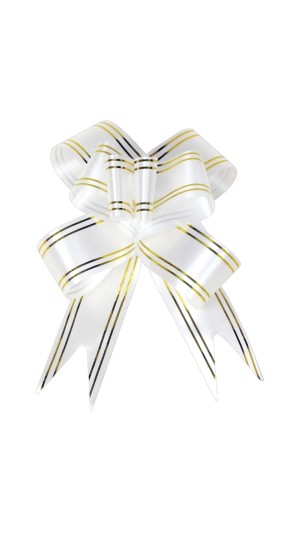 LAÇO PRONTO 25CM LISO MORI PACOTE C/10 UNID.