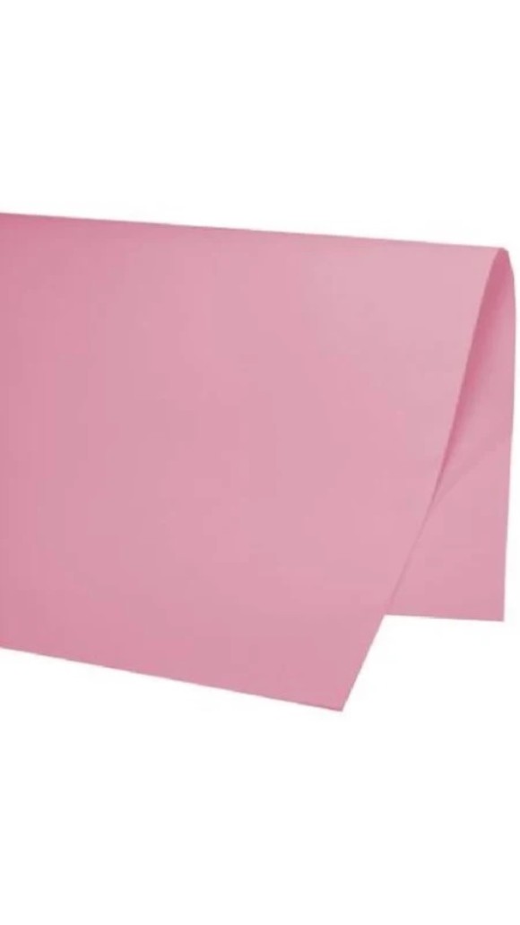 PAPEL COLOR-SET 48X66CM PCT C/20 FOLHAS VMP