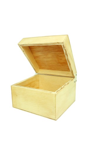 FICHÁRIO PINUS 6X9 SOUZA