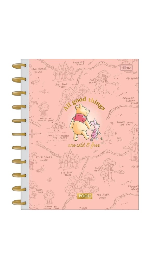 CAD.UNIV.C.D.FEM.10X1 TILIDISCO CONN POOH 160F.2024 TILIBRA