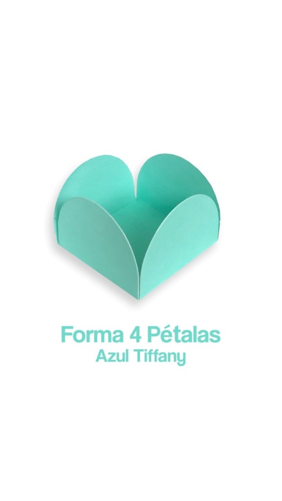 FORMA DE PAPEL ESPECIAL N.06 C/50 UNID
